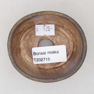 Keramische Bonsai-Schale 7,5 x 6,5 x 3,5 cm, braune Farbe - 3