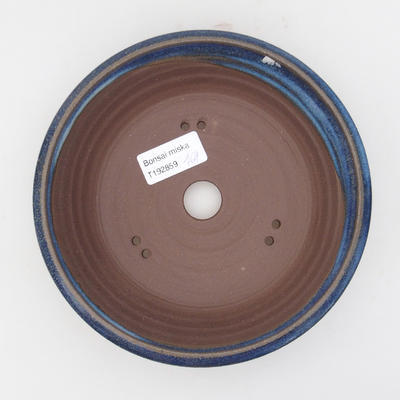 Keramik Bonsaischale 17 x 17 x 4,5 cm, Farbe blau - 3