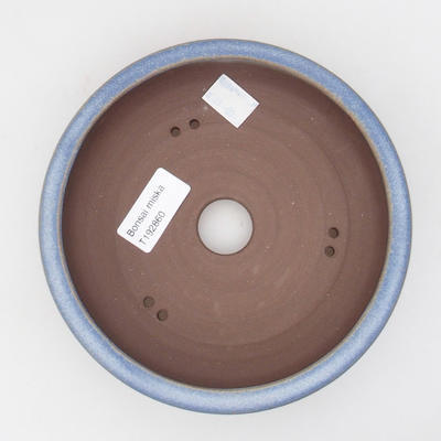 Bonsaischale aus Keramik 16 x 16 x 4,5 cm, Farbe blau - 3