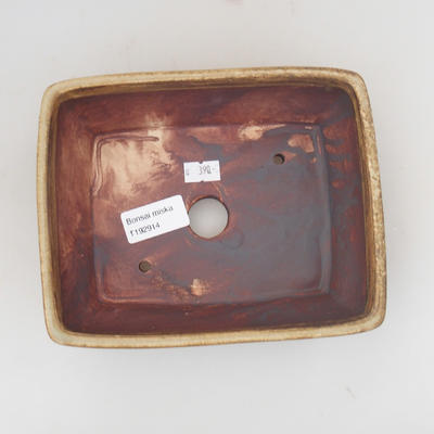 Keramik Bonsaischale 17,5 x 14,5 x 5,5 cm, Farbe braun - 3