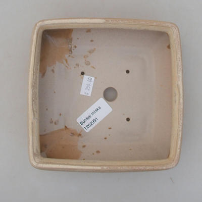 Keramik Bonsai Schüssel 15 x 15 x 5,5 cm, beige Farbe - 3