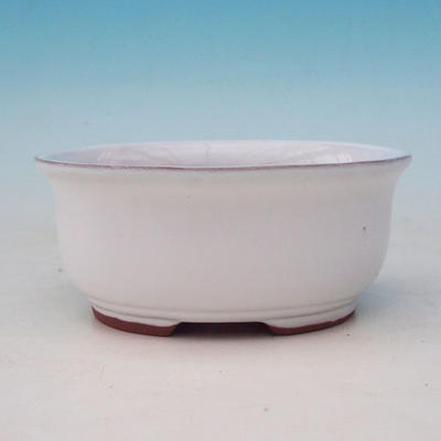 Keramik Bonsai Schüssel H 30 - 12 x 10 x 5 cm, weiß - 12 x 10 x 5 cm - 3