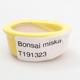 Mini Bonsai Schüssel 4,5 x 4 x 2 cm, gelbe Farbe - 3/3