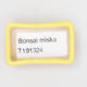 Mini Bonsai Schüssel 4,5 x 3 x 1,5 cm, gelbe Farbe - 3/3
