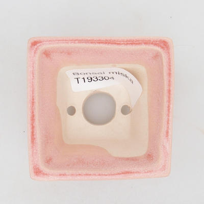 Mini-Bonsaischale 5,5 x 5,5 x 3,5 cm, Farbe pink - 3