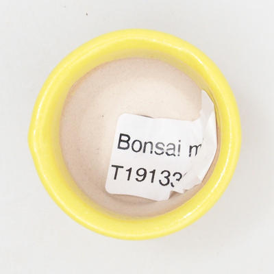 Mini Bonsai Schüssel 4 x 4 x 3 cm, gelbe Farbe - 3