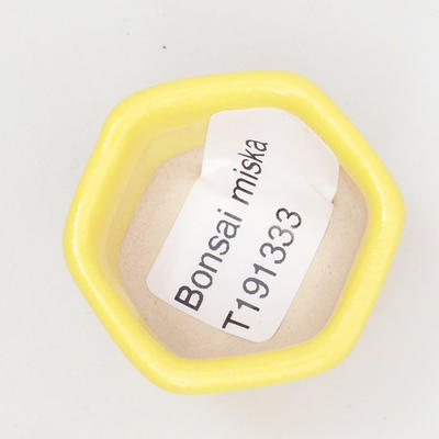 Mini Bonsai Schüssel 4 x 4 x 3 cm, gelbe Farbe - 3