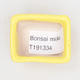 Mini Bonsai Schüssel 4,5 x 3,5 x 2,5 cm, gelbe Farbe - 3/3