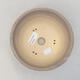 Keramik Bonsai Schüssel 16 x 16 x 10 cm, Farbe rissig - 3/4