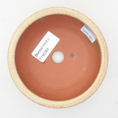 Keramik Bonsai Schüssel - 11 x 11 x 4 cm, Farbe beige - 3