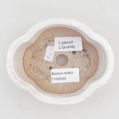 Keramik Bonsai Schüssel 13 x 10 x 4,5 cm, Krebse Farbe - 2. Qualität - 3