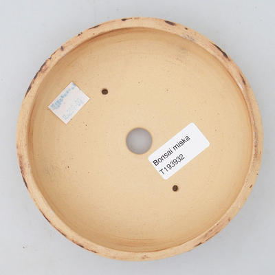 Keramik Bonsaischale 15 x 15 x 3,5 cm, Farbe rissig - 3