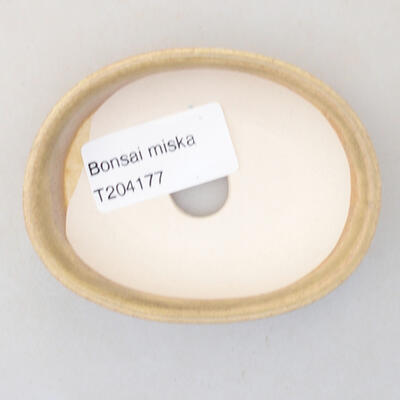Mini Bonsai Schüssel 8 x 6 x 2,5 cm, Farbe beige - 3