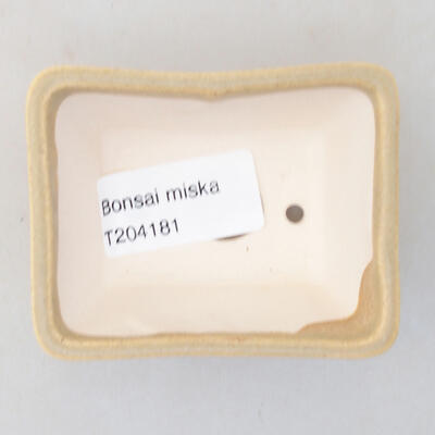 Mini Bonsai Schüssel 7 x 5,5 x 3,5 cm, beige Farbe - 3