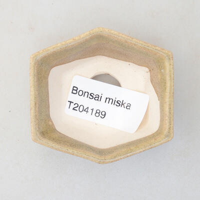 Mini Bonsai Schüssel 6 x 5 x 2 cm, beige Farbe - 3