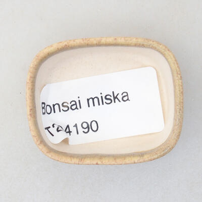 Mini Bonsai Schüssel 4 x 3 x 1,5 cm, Farbe beige - 3