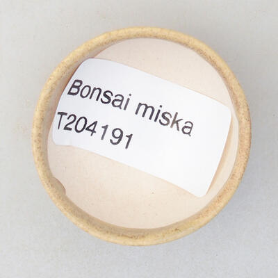 Mini Bonsai Schüssel 4 x 4 x 1,5 cm, beige Farbe - 3