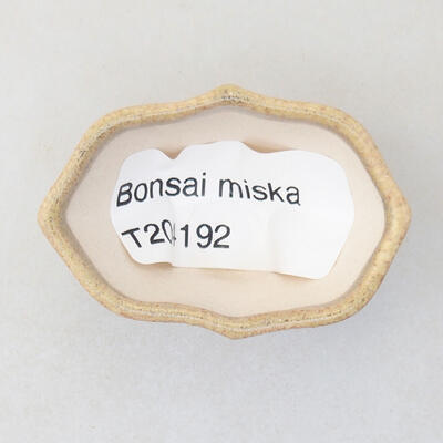 Mini Bonsai Schüssel 4 x 3 x 2,5 cm, beige Farbe - 3