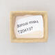 Mini Bonsai Schüssel 4 x 3 x 2 cm, beige Farbe - 3/3