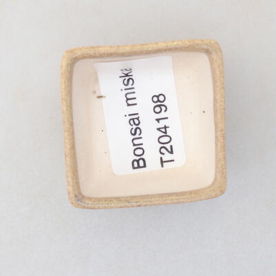 Mini Bonsai Schüssel 3,5 x 3,5 x 2,5 cm, beige Farbe - 3