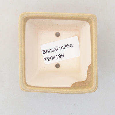 Mini Bonsai Schüssel 6 x 6 x 4,5 cm, beige Farbe - 3
