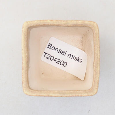 Mini Bonsai Schale 4,5 x 4,5 x 5 cm, beige Farbe - 3