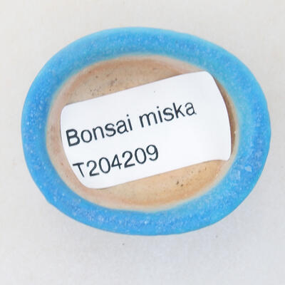 Mini Bonsai Schüssel 4 x 3,5 x 1,5 cm, Farbe blau - 3