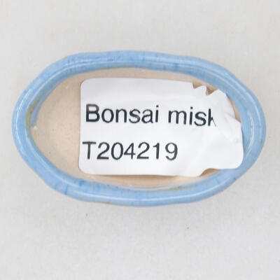 Mini Bonsai Schüssel 4 x 2,5 x 1,5 cm, Farbe blau - 3