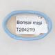 Mini Bonsai Schüssel 4 x 2,5 x 1,5 cm, Farbe blau - 3/3