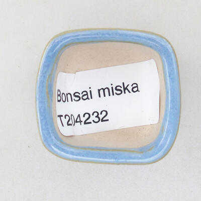 Mini Bonsai Schüssel 3,5 x 3,5 x 2,5 cm, Farbe blau - 3