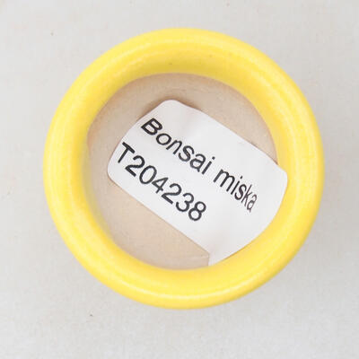 Mini Bonsai Schüssel 3,5 x 3,5 x 2,5 cm, gelbe Farbe - 3