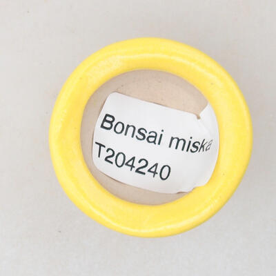 Mini Bonsai Schüssel 3,5 x 3,5 x 2,5 cm, gelbe Farbe - 3