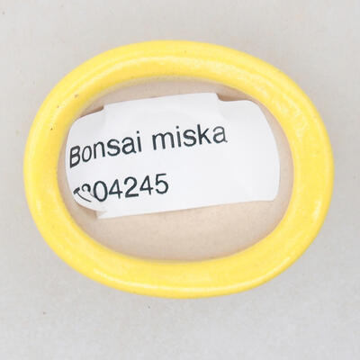 Mini Bonsai Schüssel 6 x 3,5 x 2 cm, Farbe gelb - 3