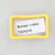 Mini Bonsai Schüssel 4,5 x 2,5 x 1,5 cm, gelbe Farbe - 3/3