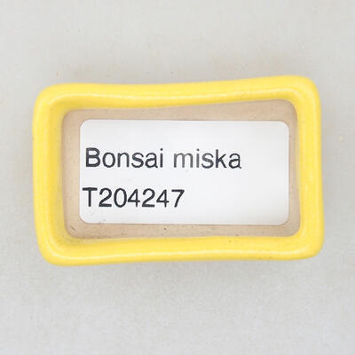 Mini Bonsai Schüssel 4,5 x 2,5 x 1,5 cm, gelbe Farbe - 3