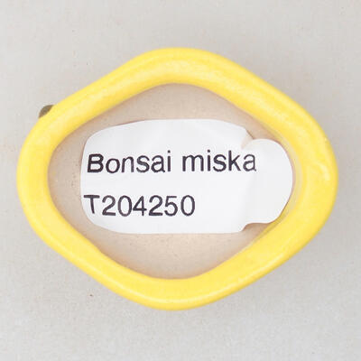Mini Bonsai Schüssel 4 x 3,5 x 2,5 cm, Farbe gelb - 3