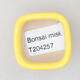 Mini Bonsai Schüssel 3,5 x 3,5 x 2,5 cm, gelbe Farbe - 3/3