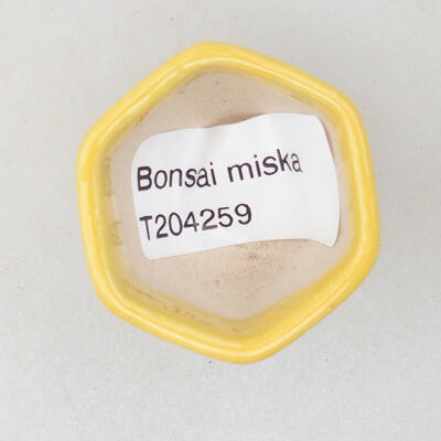 Mini Bonsai Schüssel 3,5 x 3,5 x 3 cm, Farbe gelb - 3