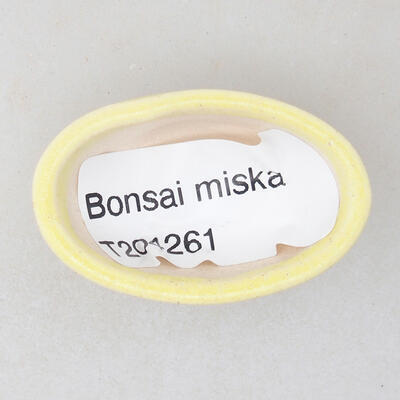 Mini Bonsai Schüssel 4 x 2,5 x 1,5 cm, Farbe gelb - 3