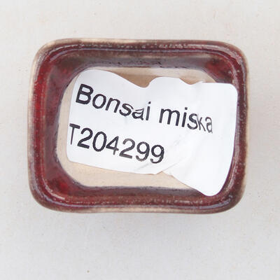 Mini Bonsai Schüssel 3 x 2,5 x 2 cm, Farbe rot - 3