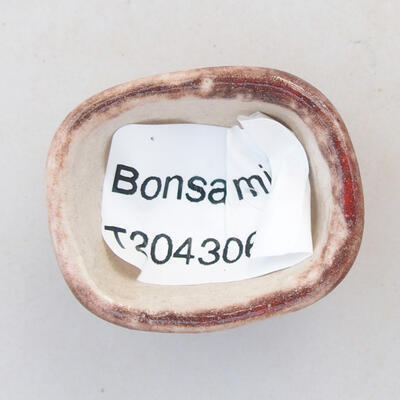 Mini Bonsai Schüssel 3 x 2,5 x 1,5 cm, Farbe rot - 3