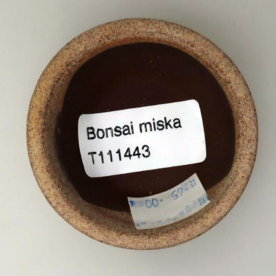 Mini Bonsai Schüssel - 3