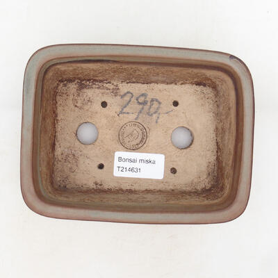 Bonsaischale aus Keramik 16 x 12 x 5,5 cm, Farbe braun - 3