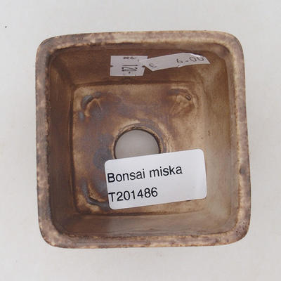 Keramische Bonsai-Schale 6,5 x 6,5 x 5 cm, beige Farbe - 3