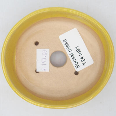 Keramik-Bonsaischale 9,5 x 8,5 x 3 cm, Farbe gelb - 3