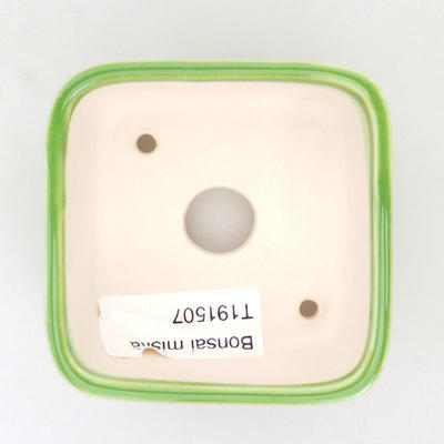 Mini Bonsai Schüssel 7 x 7 x 4 cm, Farbe grün - 3
