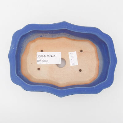 Bonsaischale aus Keramik 14 x 10 x 4 cm, Farbe blau - 3