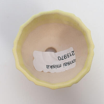 Bonsaischale aus Keramik 5 x 5 x 3,5 cm, Farbe gelb - 3