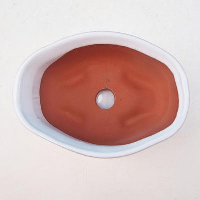 Bonsai Schale Tablett mit Wasser H05 +, weiß - 3