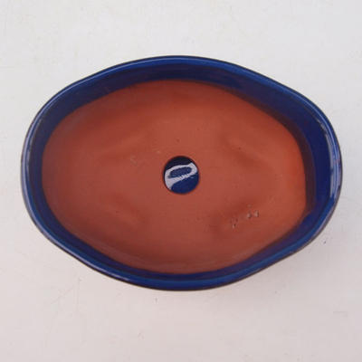 Bonsai Schale Tablett mit Wasser H05 +, blau - 3